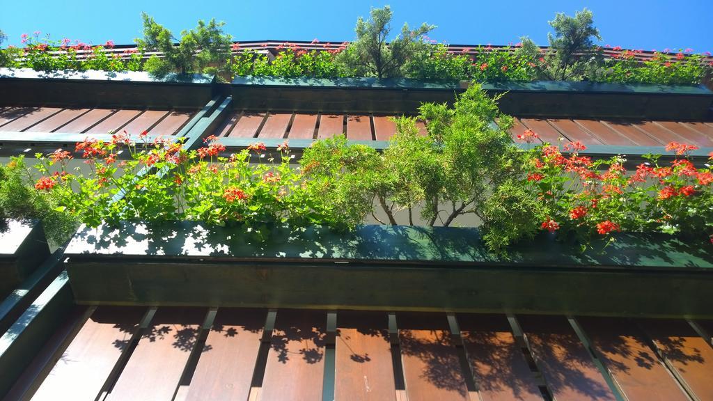 La Felce Bed & Breakfast Carisolo Ngoại thất bức ảnh