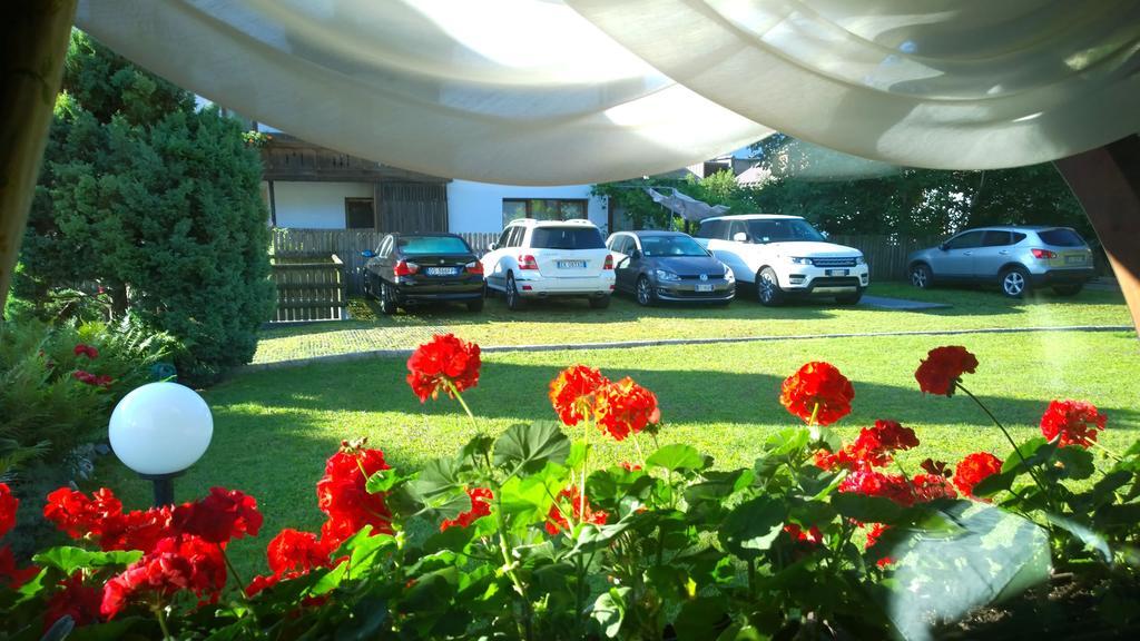 La Felce Bed & Breakfast Carisolo Ngoại thất bức ảnh